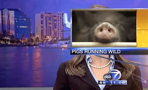 hilarious news bloopers|More.